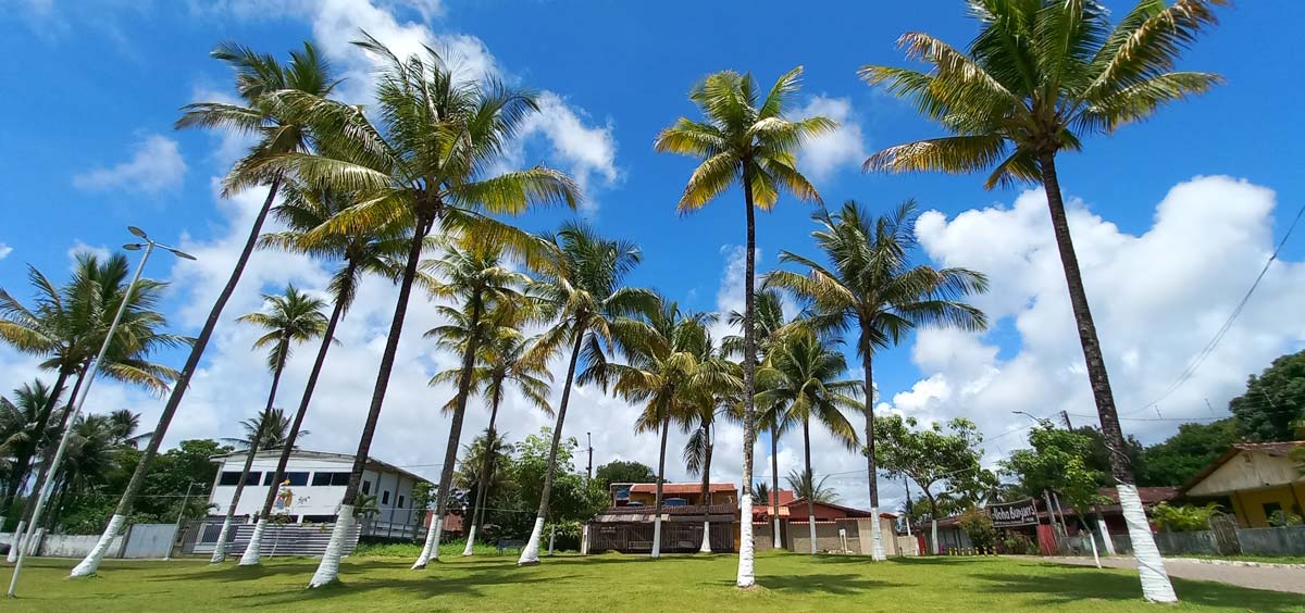 ITACARE.COM - Capoeira - Itacaré - Bahia